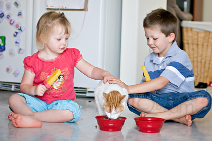 pet