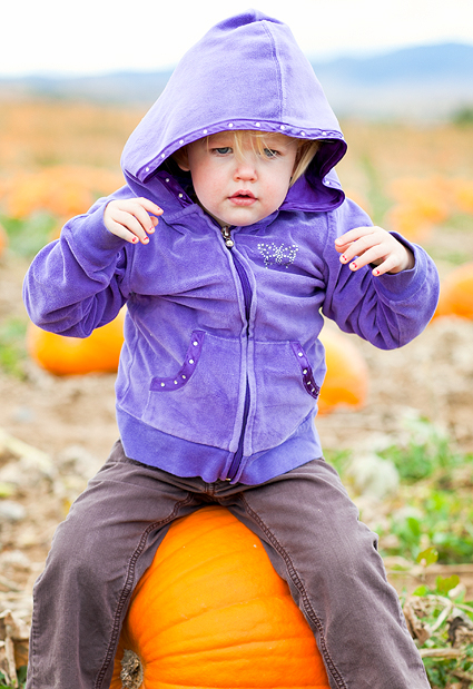 pumkin-sumtin pumkin-sumtin